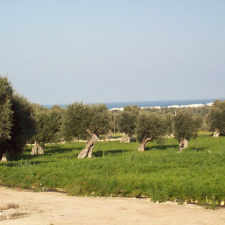 Masseria Ricci Фазано Экстерьер фото