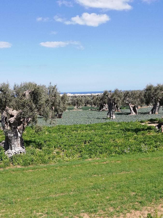 Masseria Ricci Фазано Экстерьер фото