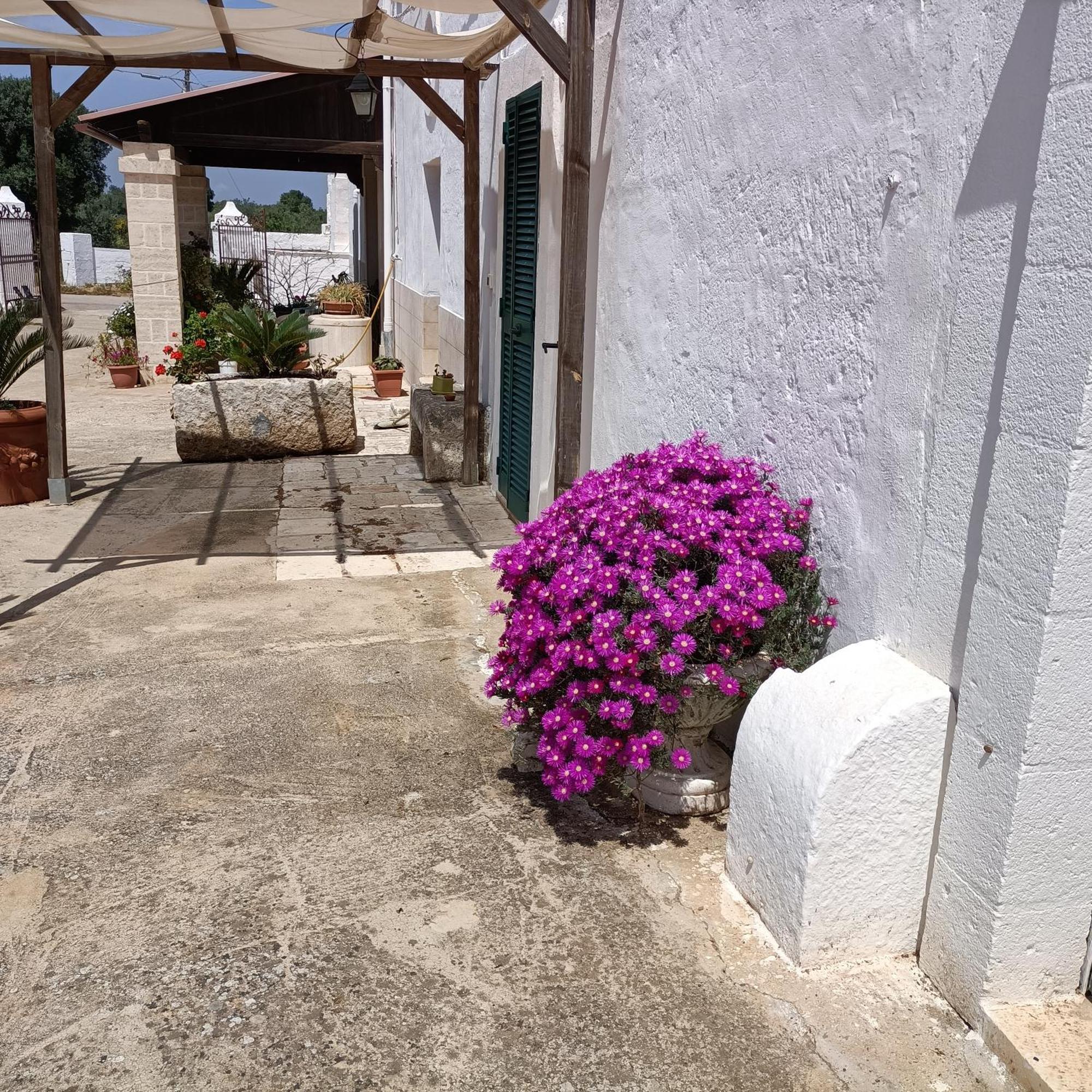 Masseria Ricci Фазано Экстерьер фото