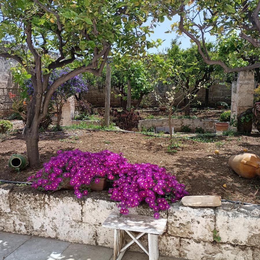 Masseria Ricci Фазано Экстерьер фото
