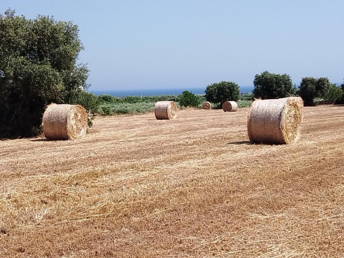 Masseria Ricci Фазано Экстерьер фото