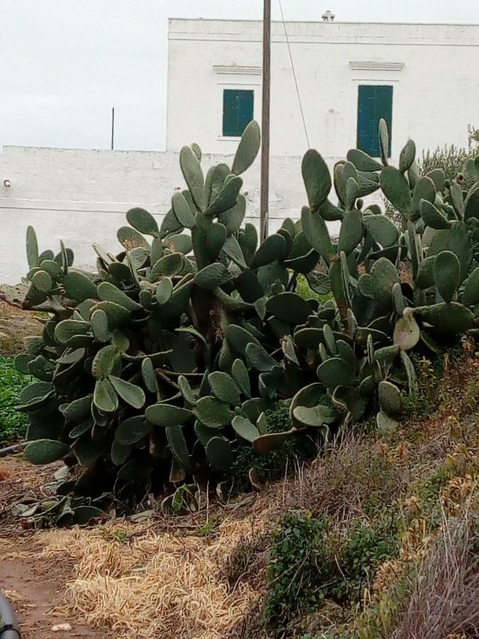 Masseria Ricci Фазано Экстерьер фото